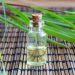 10 Surprising Benefits and Uses of Citronella Essential Oil