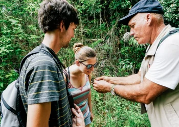 Eco-Friendly Vacation Rentals: Sustainable Practices for Hosts