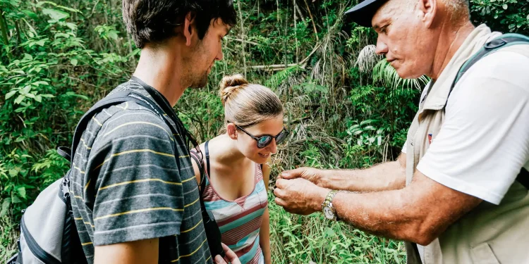 Eco-Friendly Vacation Rentals: Sustainable Practices for Hosts